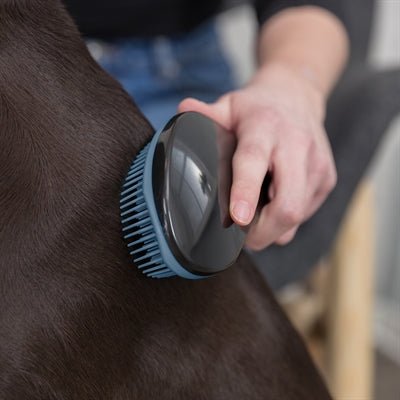 Trixie - Zachte Borstel Blauw - 19 cm - Vachtverzorging - Bivakshop