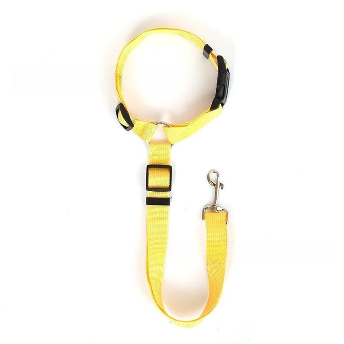 Twee - in - één honden autogordel – Nylon riem – Verstelbare veiligheidsharnas - Bivakshop