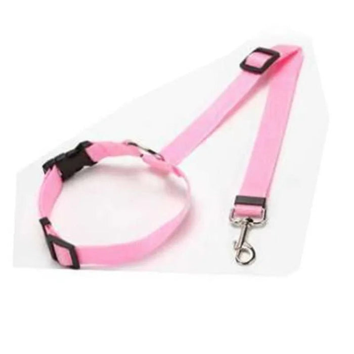 Twee - in - één honden autogordel – Nylon riem – Verstelbare veiligheidsharnas - Bivakshop
