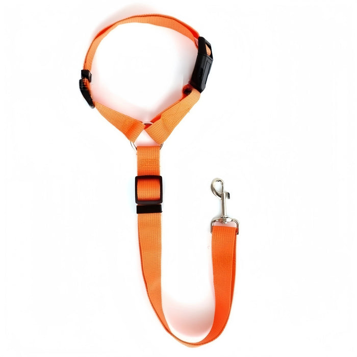 Twee - in - één honden autogordel – Nylon riem – Verstelbare veiligheidsharnas - Bivakshop