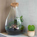 Urbanjngl - Love Mom Terrarium Drop XL - Ø 24 cm - 37 cm - Moederdag Cadeau - Bivakshop