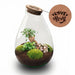 Urbanjngl - Love Mom Terrarium Drop XL - Ø 24 cm - 37 cm - Moederdag Cadeau - Bivakshop
