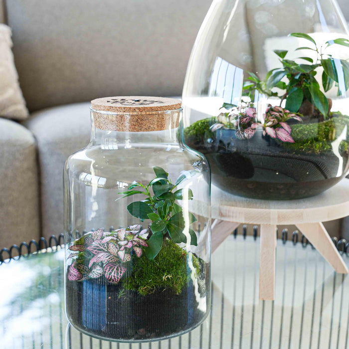 Urbanjngl - Love Mom Terrarium Little Milky - LED Verlichting - Ø 17 cm - 25 cm - Moederdag Cadeau - Bivakshop