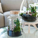 Urbanjngl - Love Mom Terrarium Little Milky - LED Verlichting - Ø 17 cm - 25 cm - Moederdag Cadeau - Bivakshop