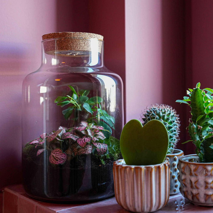 Urbanjngl - Love Mom Terrarium Little Milky - LED Verlichting - Ø 17 cm - 25 cm - Moederdag Cadeau - Bivakshop