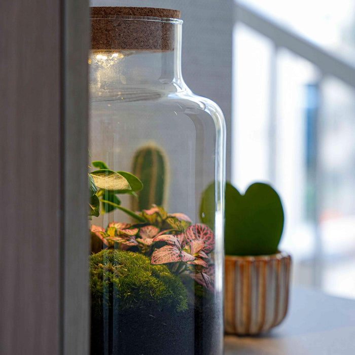 Urbanjngl - Love Mom Terrarium Little Milky - LED Verlichting - Ø 17 cm - 25 cm - Moederdag Cadeau - Bivakshop