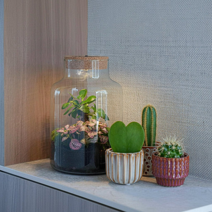 Urbanjngl - Love Mom Terrarium Little Milky - LED Verlichting - Ø 17 cm - 25 cm - Moederdag Cadeau - Bivakshop