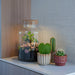 Urbanjngl - Love Mom Terrarium Little Milky - LED Verlichting - Ø 17 cm - 25 cm - Moederdag Cadeau - Bivakshop
