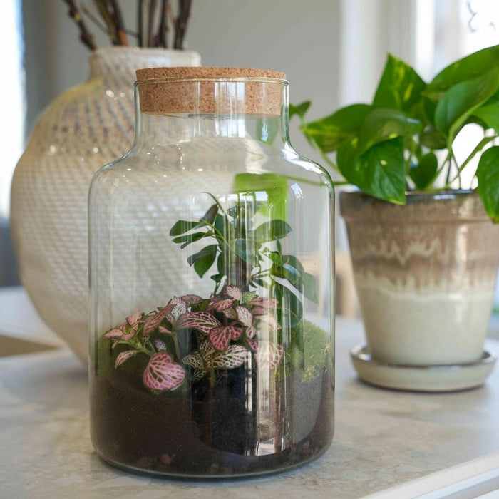 Urbanjngl - Love Mom Terrarium Little Milky - LED Verlichting - Ø 17 cm - 25 cm - Moederdag Cadeau - Bivakshop