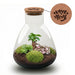 Urbanjngl - Love Mom Terrarium Sam - LED Verlichting - Ø 24.5 cm - 30 cm - Moederdag Cadeau - Bivakshop