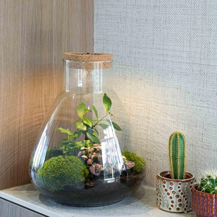Urbanjngl - Love Mom Terrarium Sam - LED Verlichting - Ø 24.5 cm - 30 cm - Moederdag Cadeau - Bivakshop