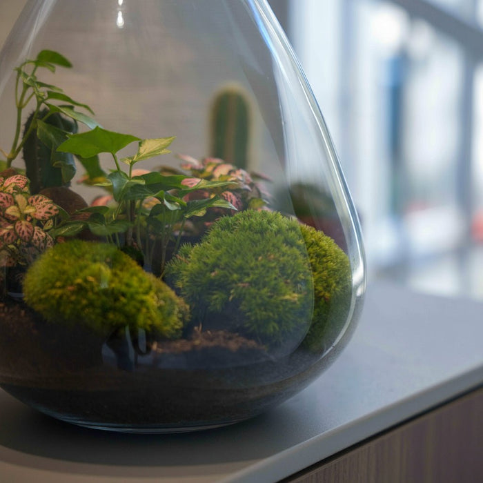 Urbanjngl - Love Mom Terrarium Sam - LED Verlichting - Ø 24.5 cm - 30 cm - Moederdag Cadeau - Bivakshop