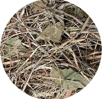 Utopia - Timothy Hooi Met Berkenblad - Vezelrijk & Natuurlijk (450 gr) - Bivakshop