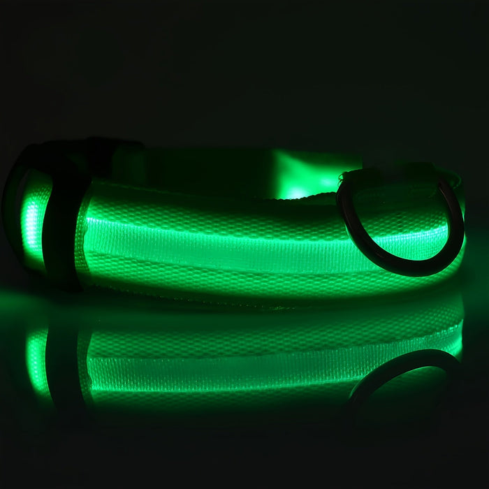 Verlichte hondenhalsband – Verstelbaar – Veilig in het donker - Bivakshop