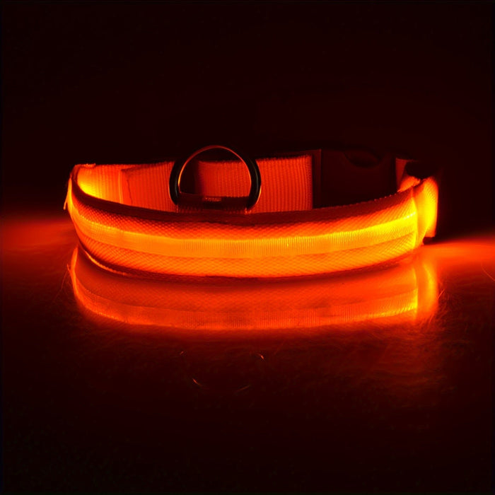 Verlichte hondenhalsband – Verstelbaar – Veilig in het donker - Bivakshop