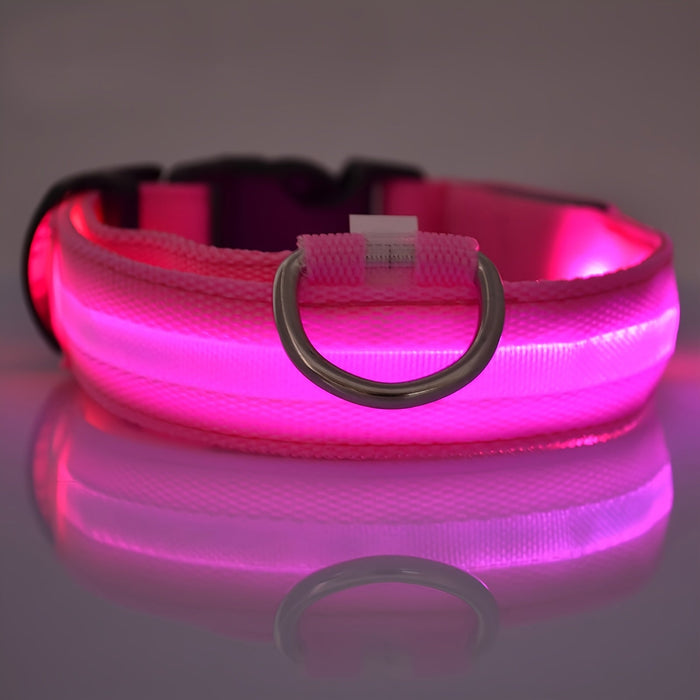 Verlichte hondenhalsband – Verstelbaar – Veilig in het donker - Bivakshop
