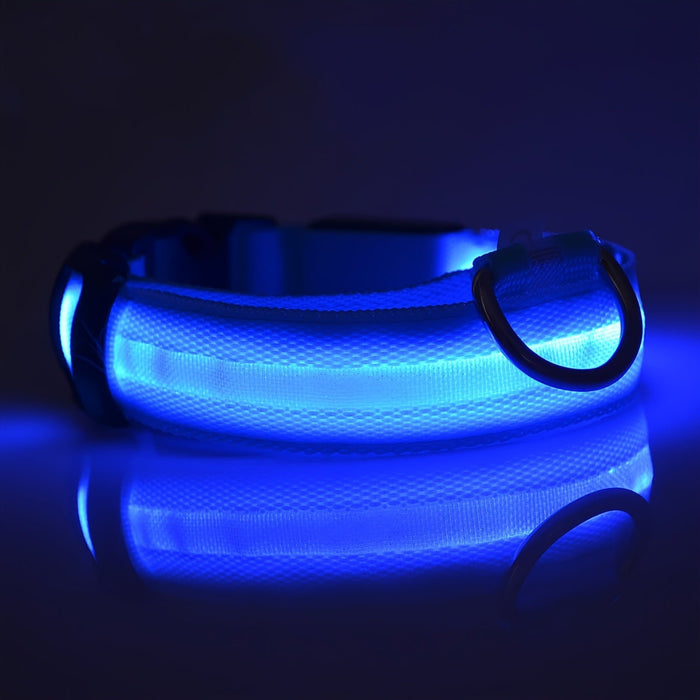 Verlichte hondenhalsband – Verstelbaar – Veilig in het donker - Bivakshop