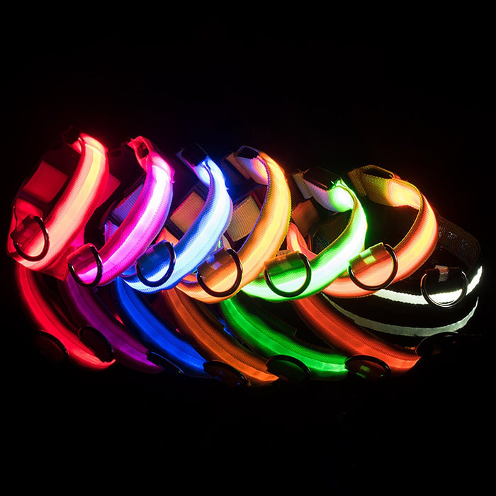 Verlichte hondenhalsband – Verstelbaar – Veilig in het donker - Bivakshop