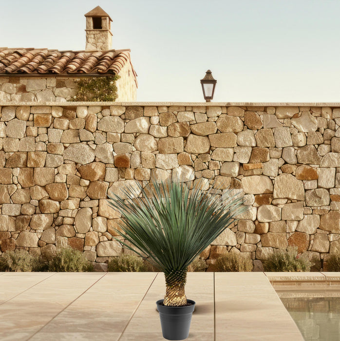 Everyplants Yucca rostrata 100–120 cm