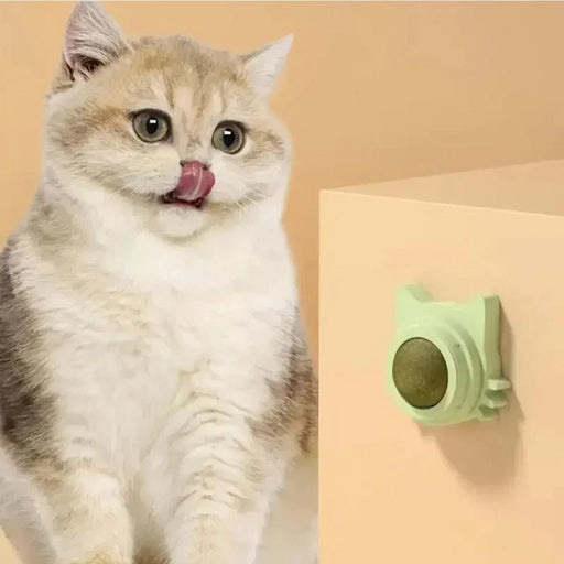 Zelfklevende kattenkruidballen - Grappig en likbaar kattenspeelgoed - Geschikt voor kleine en middelgrote katten - Bivakshop
