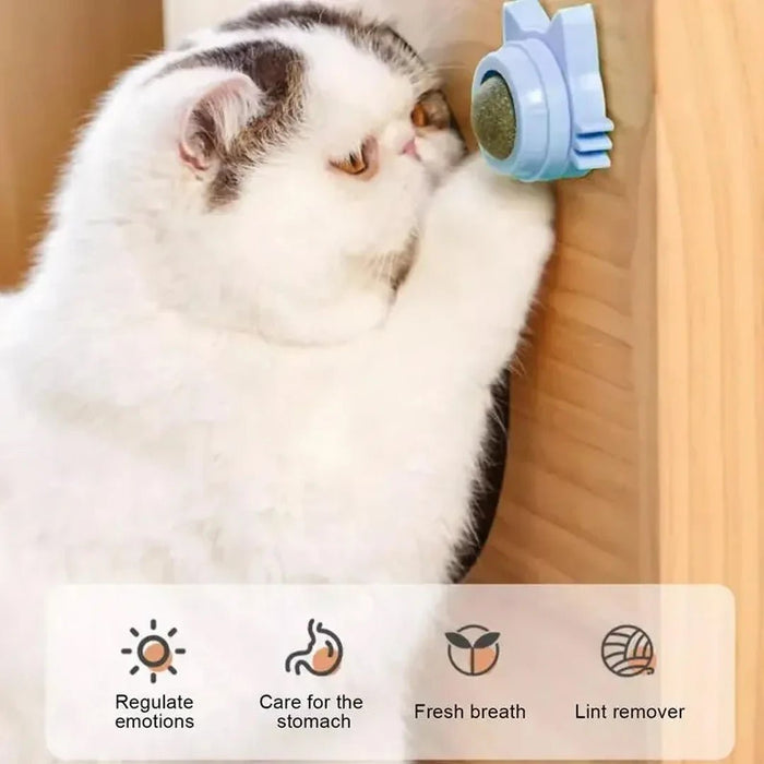 Zelfklevende kattenkruidballen - Grappig en likbaar kattenspeelgoed - Geschikt voor kleine en middelgrote katten - Bivakshop