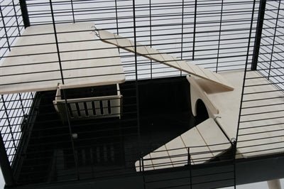 Zolux - Neo Muki Knaagdierkooi - Scandinavisch Design in Zwart (78,5 cm) - Bivakshop