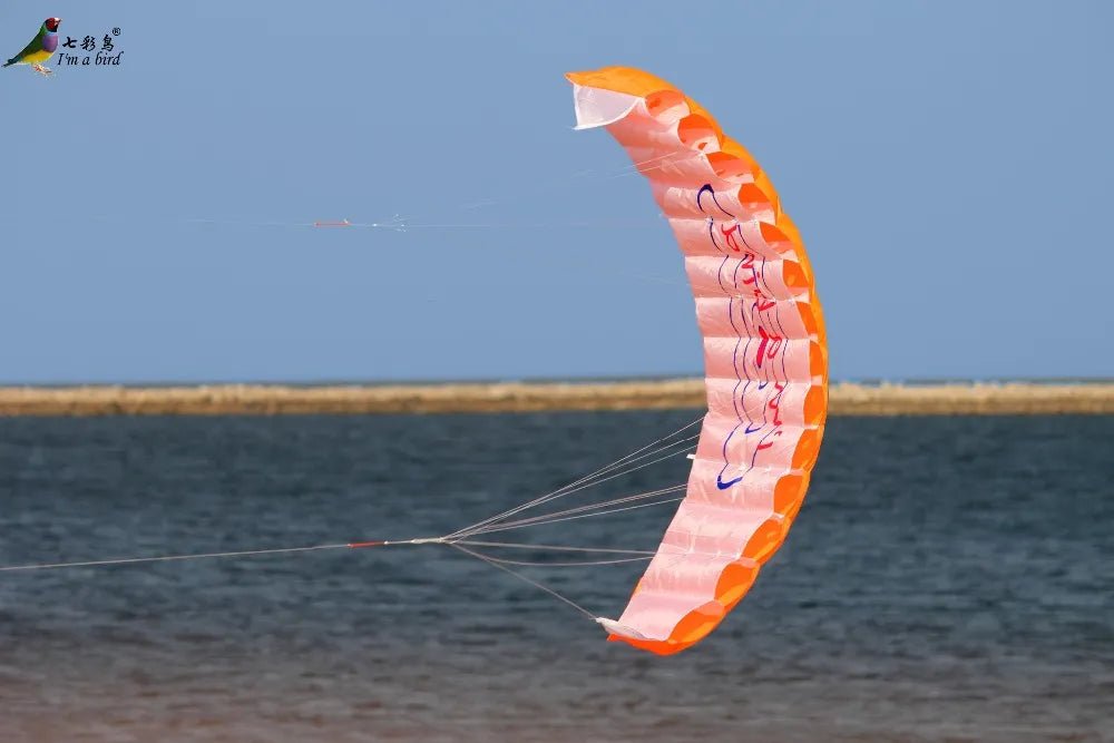 1,4 m Dual Line Parafoil Parachute Stunt BLUE Kite - Bivakshop