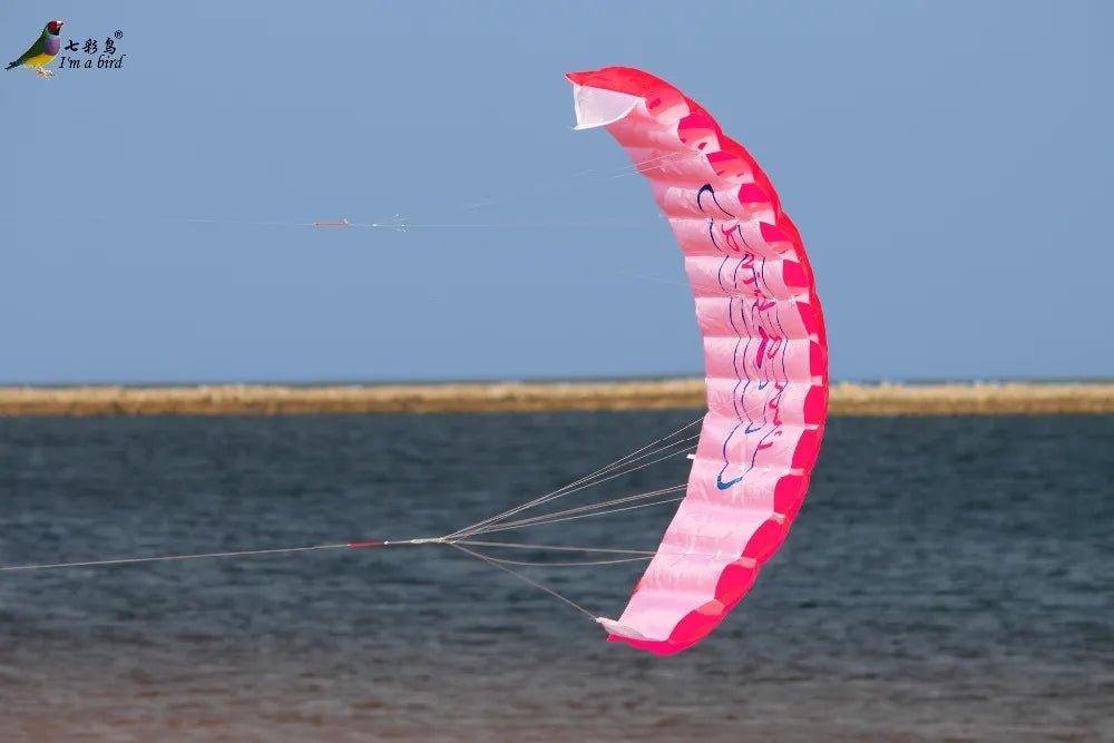 1,4 m Dual Line Parafoil Parachute Stunt BLUE Kite - Bivakshop