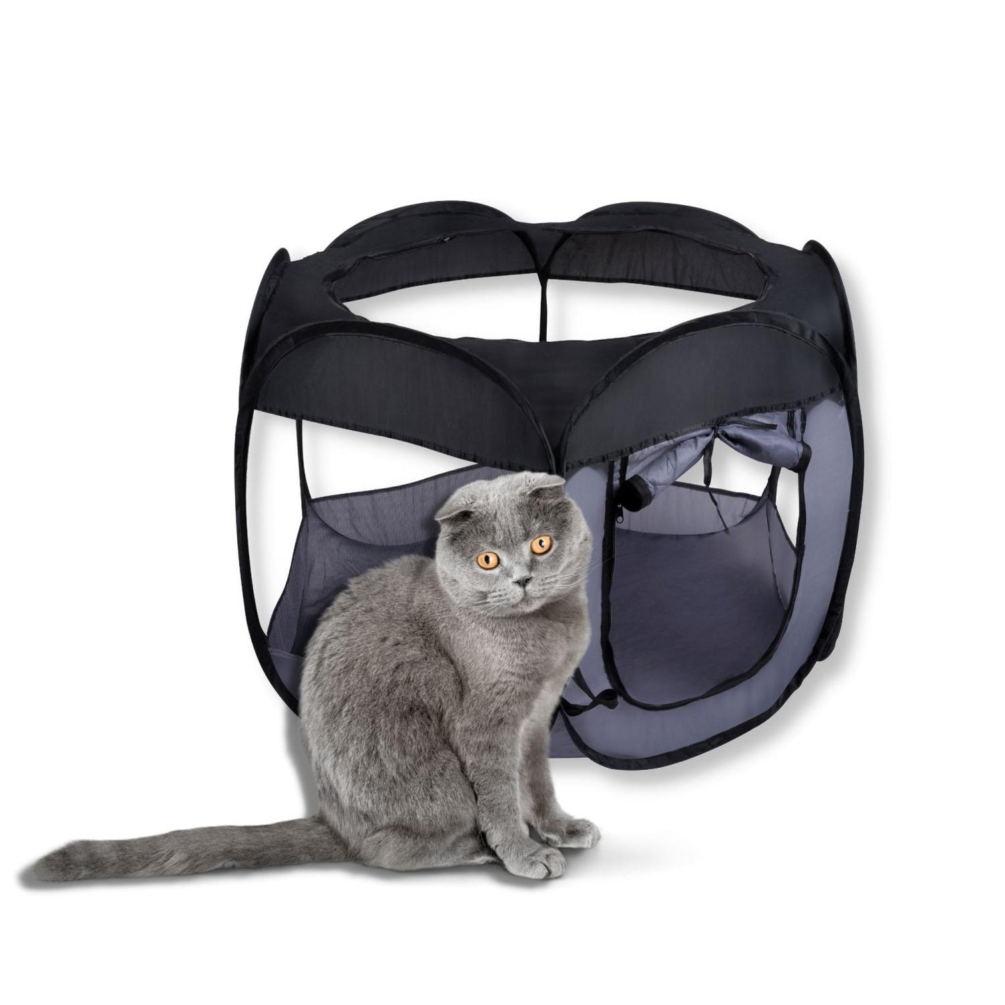 Pet Comfort - Grote Opvouwbare Box en Tent voor Huisdieren
