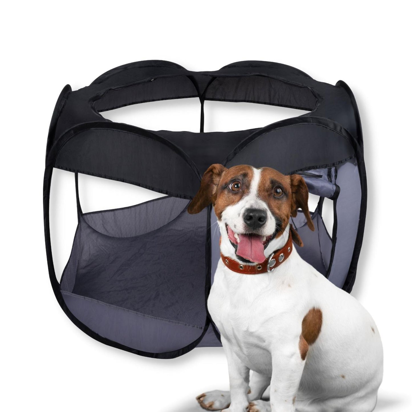 Pet Comfort - Grote Opvouwbare Box en Tent voor Huisdieren