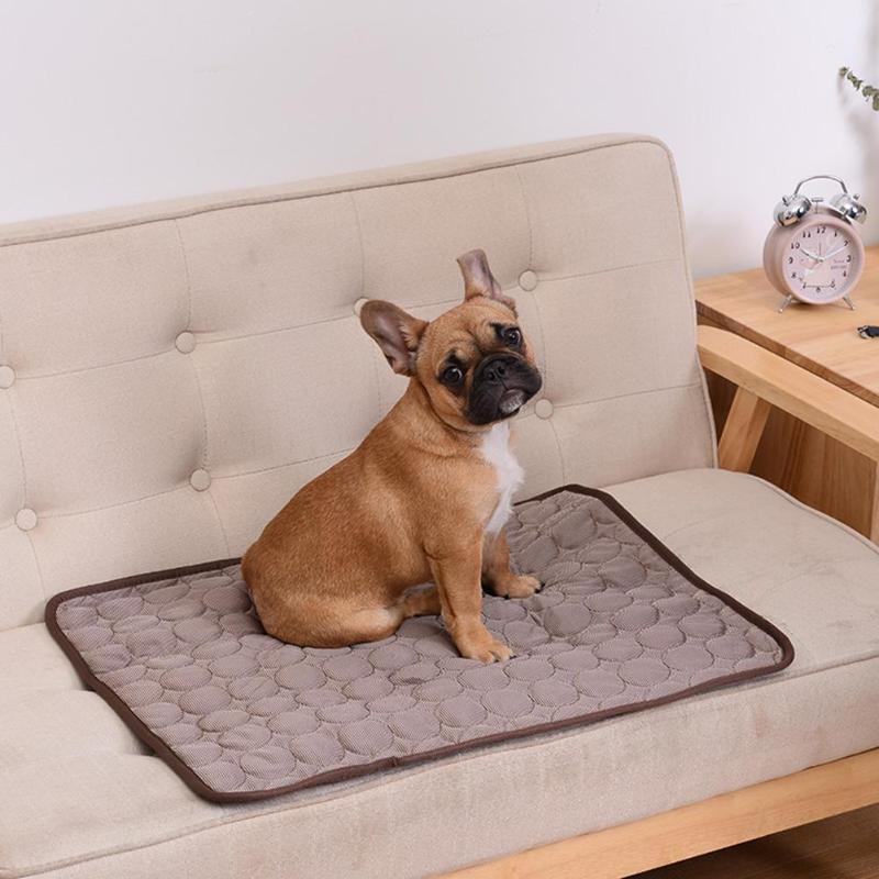Cooling zomer pad mat Voor Huisdieren - Houd je harige vriend koel en comfortabel! - Bivakshop