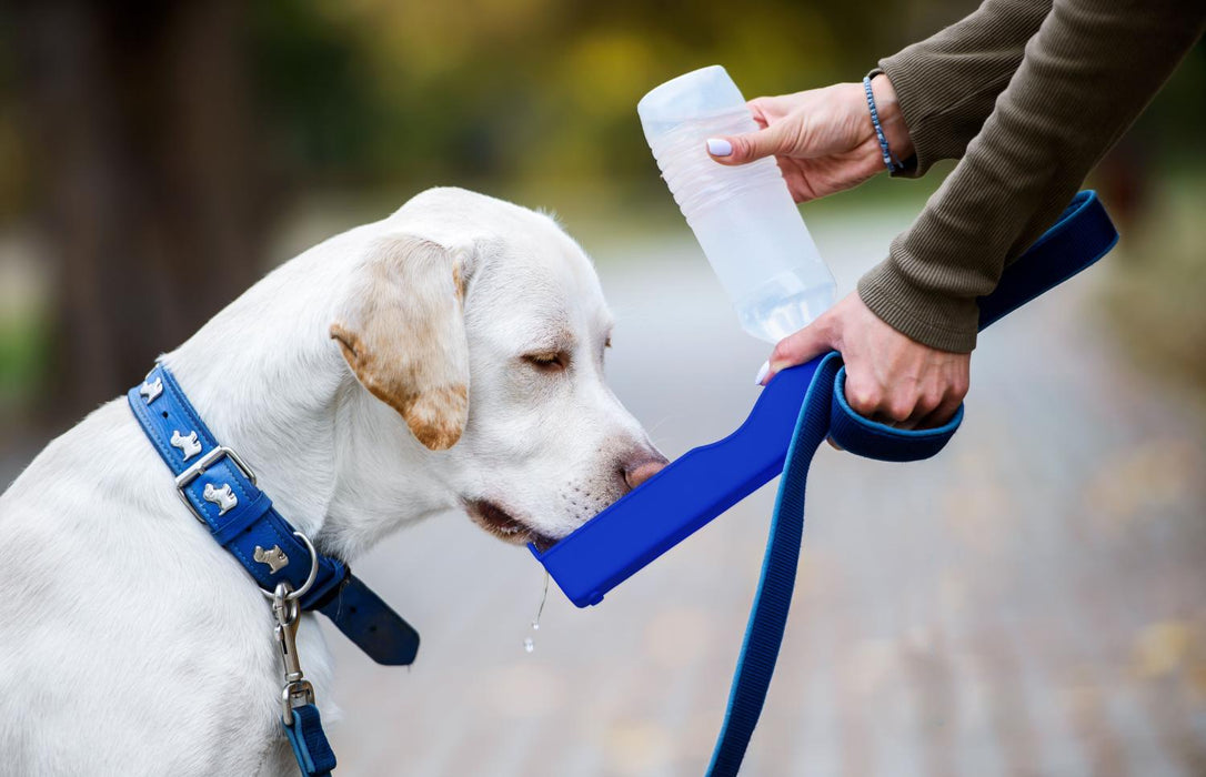 Drinkfles voor de hond - Genius Ideas - Bivakshop