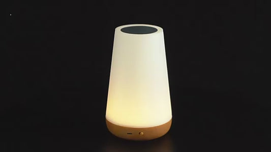 13 Kleur Veranderend Nachtlampje -  Rgb Afstandsbediening -  Dimbaar Touch -  Usb Oplaadbaar