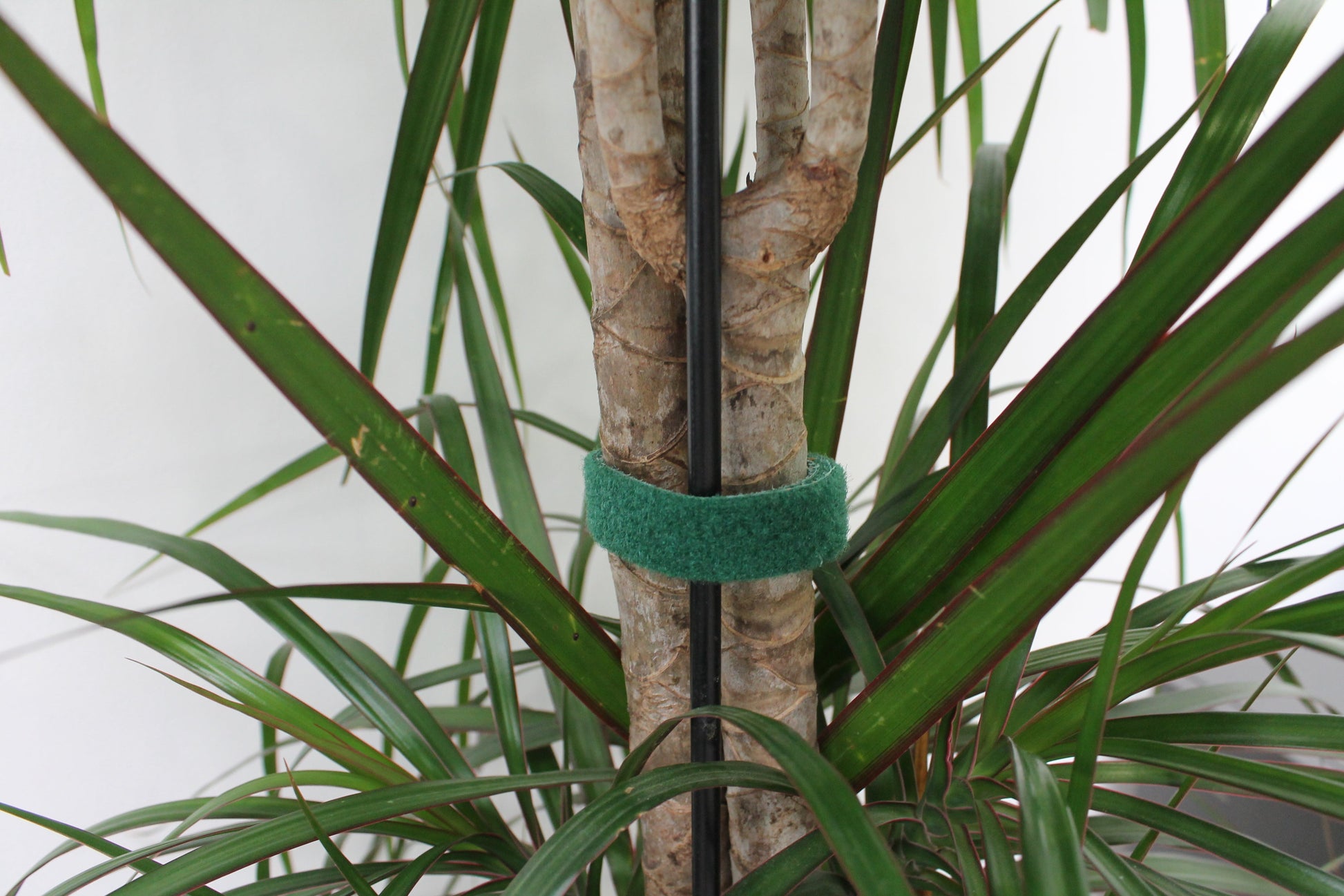 Genius Ideas Dubbelzijdig klittenband "5m" - Groen - Bivakshop