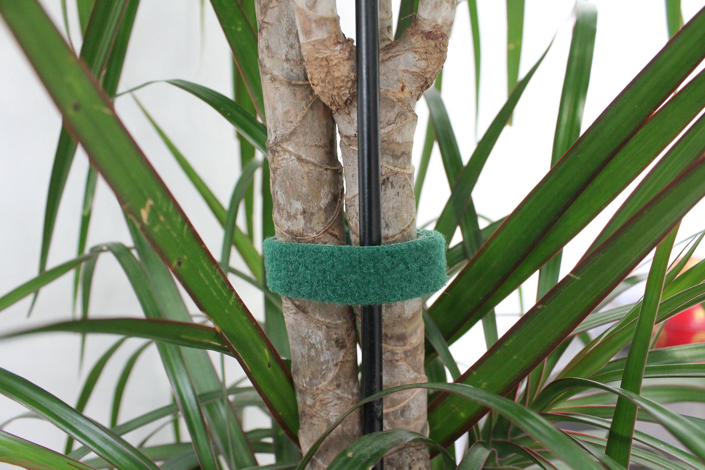 Genius Ideas Dubbelzijdig klittenband "5m" - Groen - Bivakshop