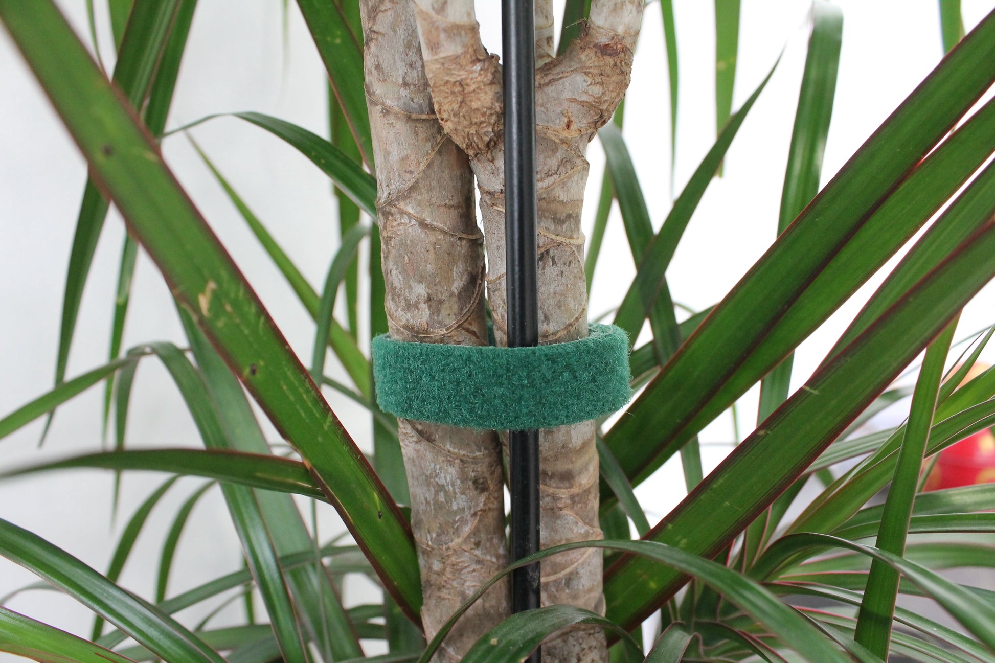 Genius Ideas Dubbelzijdig klittenband "5m" - Groen - Bivakshop