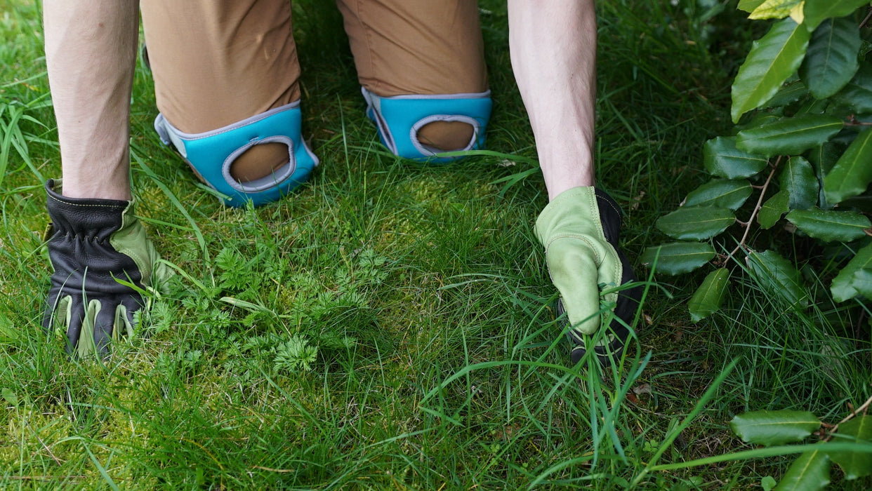 Genius Ideas Paar kniebeschermers met traagschuim - Bivakshop