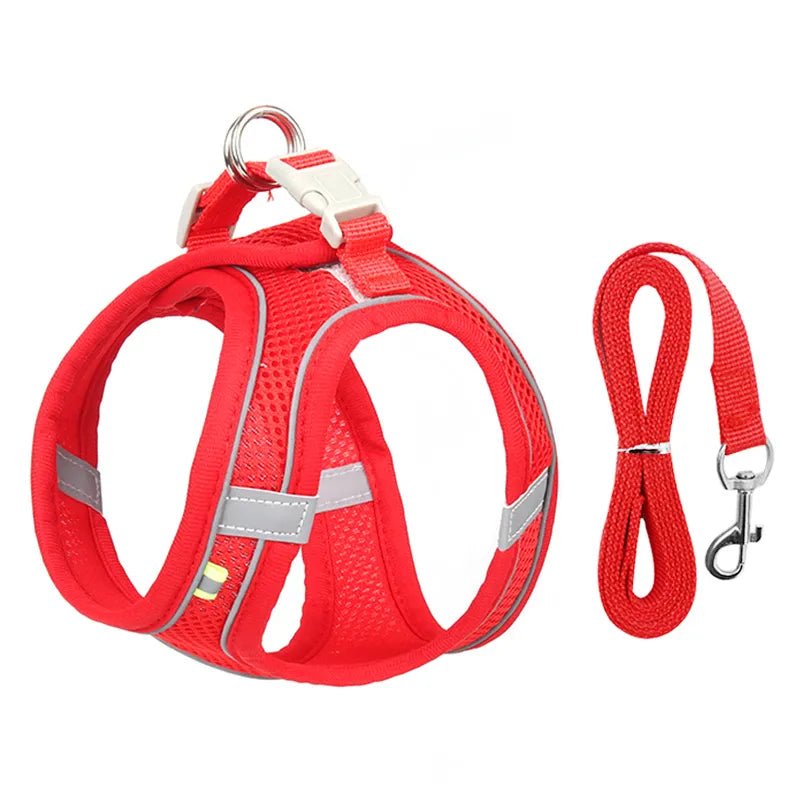 "Harnas en lijn set voor kleine honden -Reflecterend - Bivakshop