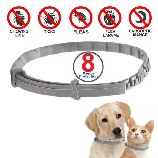 Hond anti vlooien en teken katten kraag - 8 Maanden bescherming voor huisdieren - Bivakshop