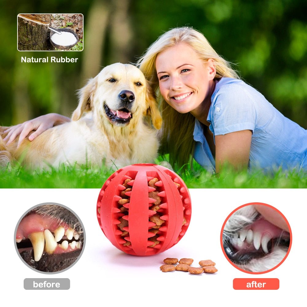 Hond Speelgoed - Interactieve rubberen bal - Gebitsreiniging - Bivakshop
