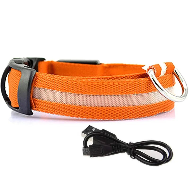 LED Gloeiende Hondenhalsbanden - Houd uw huisdier veilig in het donker! - Bivakshop