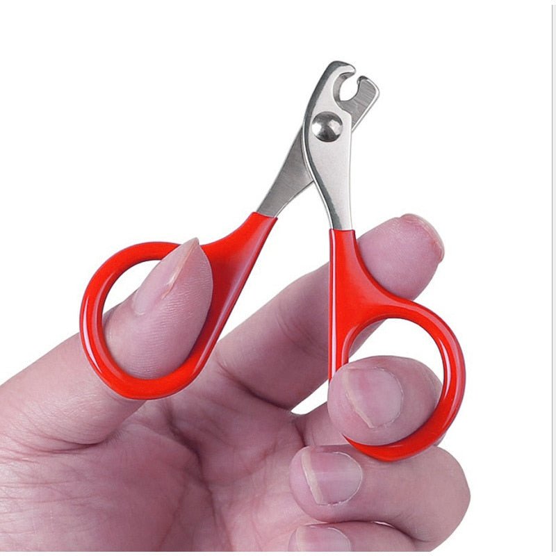 Nagelknipper voor katten en kleine honden - Bivakshop