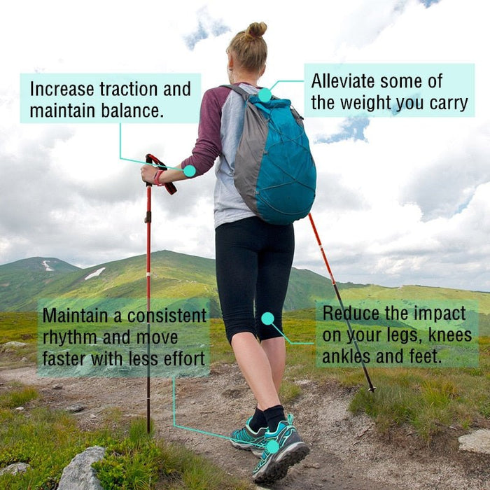Naturehike wandelstok - Inklapbaar - Nordic Walking Stokken - Lichtgewicht en compact - Bivakshop