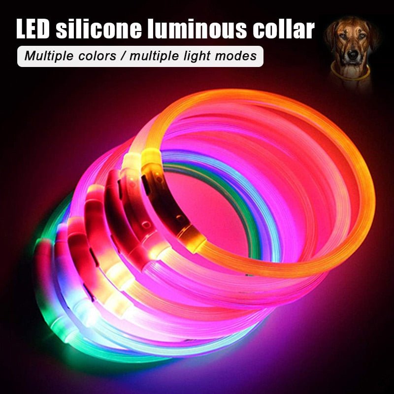Oplaadbare waterdichte LED hondenhalsband - Veilige lichtgevende halsband voor nachtelijke avonturen - Bivakshop
