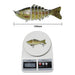 pcs/Winter fishing gear Bionic Multi-section Swim hard bait10cm/15g Artificial Wobbler Rotating Trolling pike carp crank lure - Bivakshop