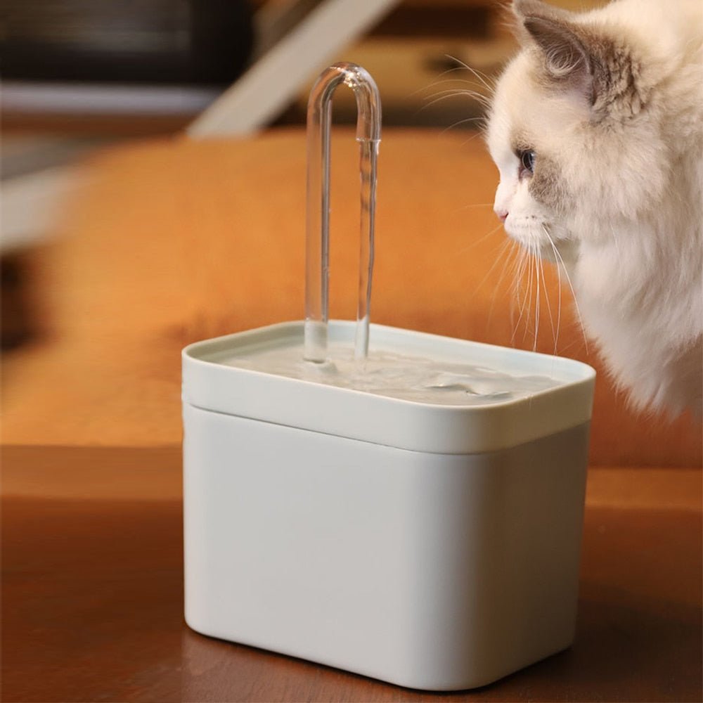 Stille en hygiënische kat fontein - 1.5L automatische waterdispenser voor huisdieren - Bivakshop