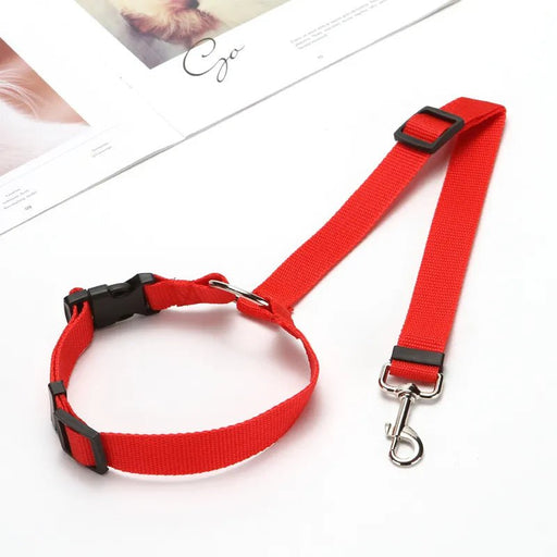 Verstelbare huisdier autogordel voor veilige reizen - Honden en katten autogordel - Bivakshop