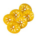 Wespenval voor flessen - 6 stuks - Genius Ideas - Bivakshop