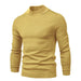 Winter coltrui voor heren - Stijlvolle trui met turtle neck - Casual Looks - Bivakshop